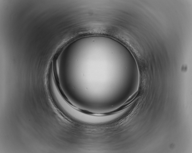 X0000097970677200803241236