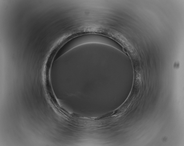 X0000097970678200803241236