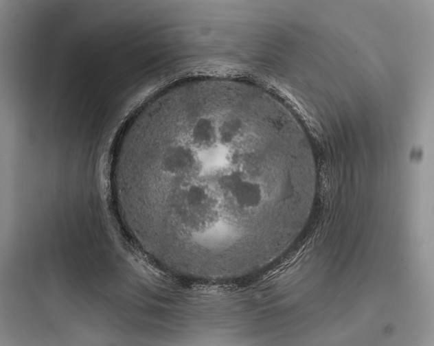 X0000097970679200803241236