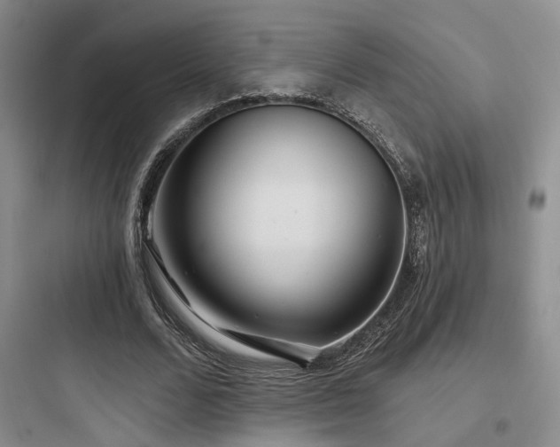 X0000097970680200803241236