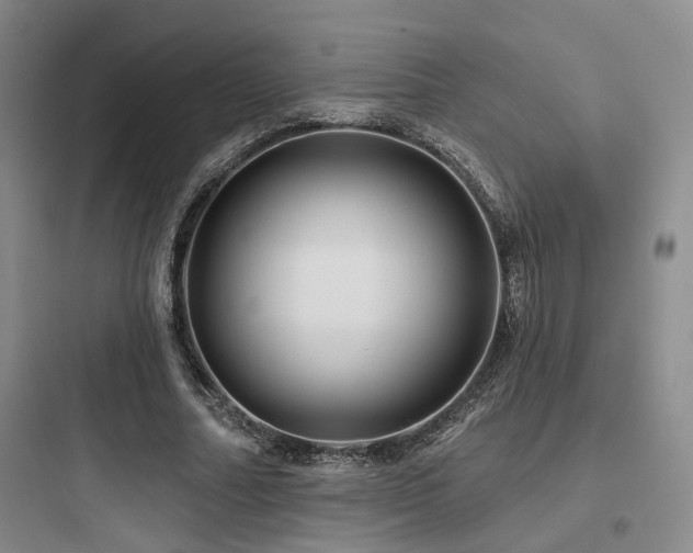 X0000097970682200803241236