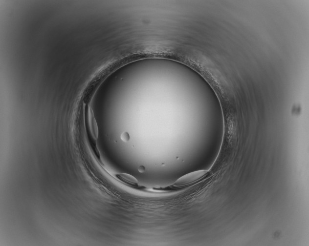 X0000097970684200803241236