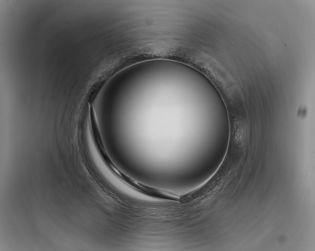 X0000097970685200803241236