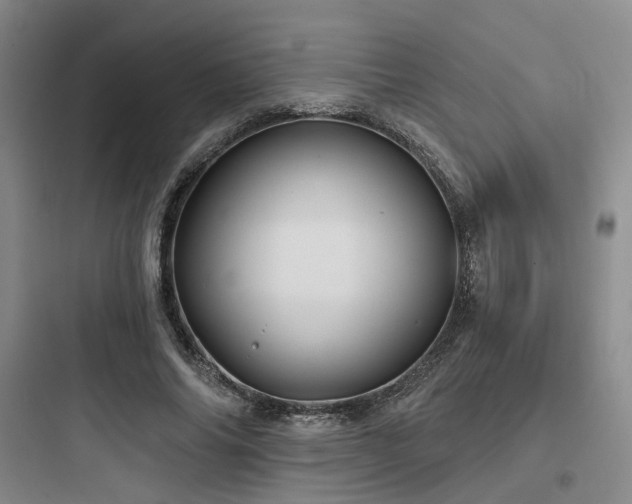 X0000097970686200803241236