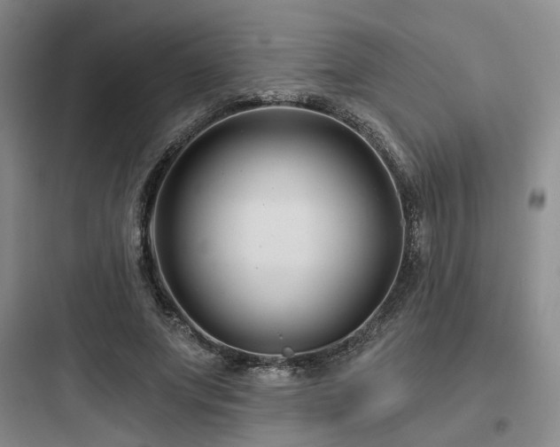 X0000097970687200803241236