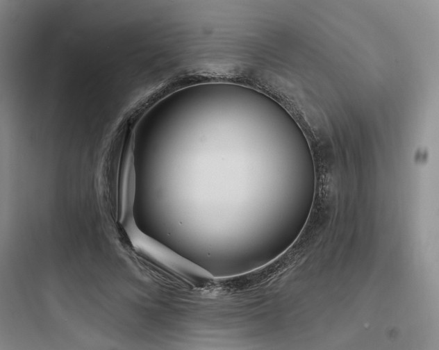 X0000097970688200803241236