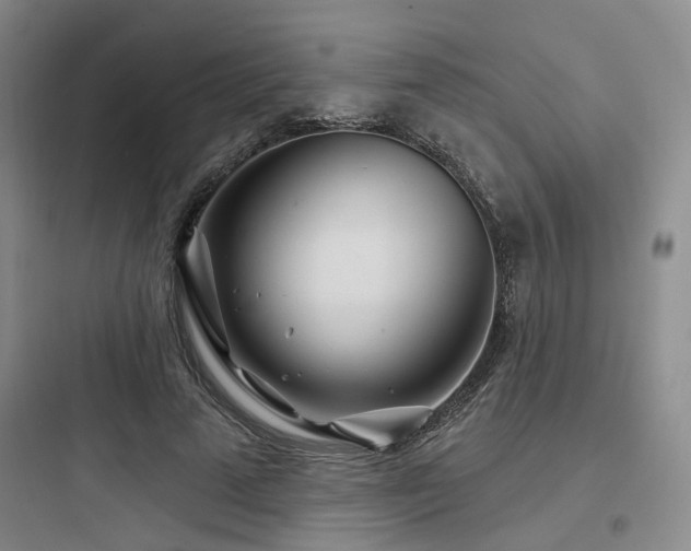 X0000097970689200803241236