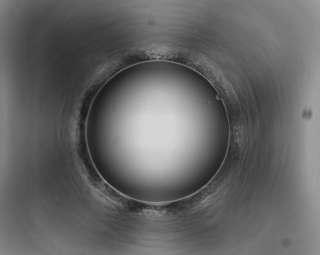 X0000097970690200803241236