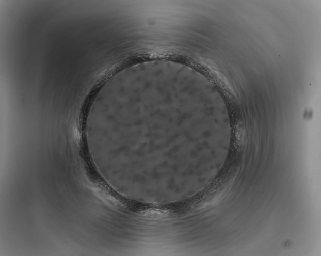 X0000097970691200803241236