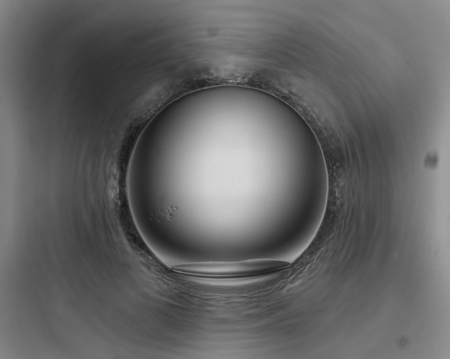 X0000097970693200803241236
