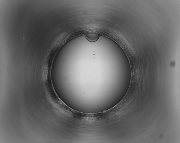 X0000097970694200803241236