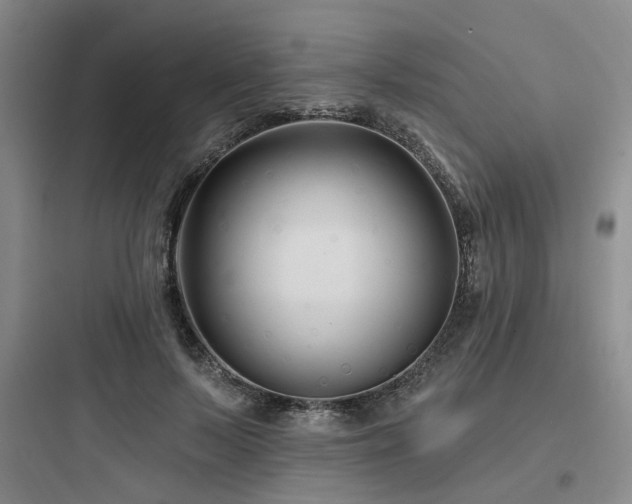 X0000097970695200803241236