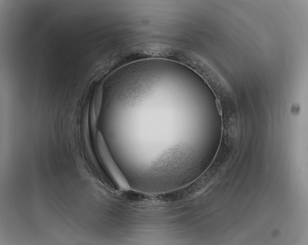 X0000097970696200803241236