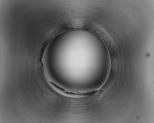 X0000097970697200803241236
