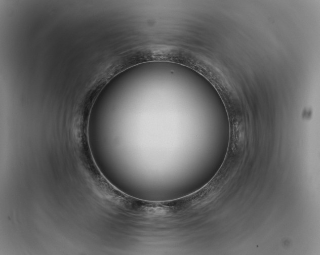 X0000097970698200803241236