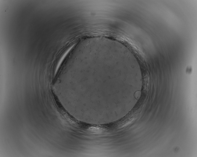 X0000097970699200803241236