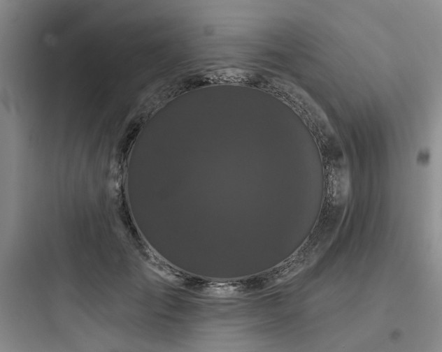 X0000097970701200803241236