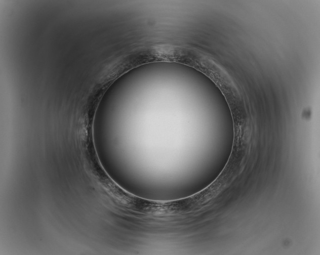 X0000097970702200803241236