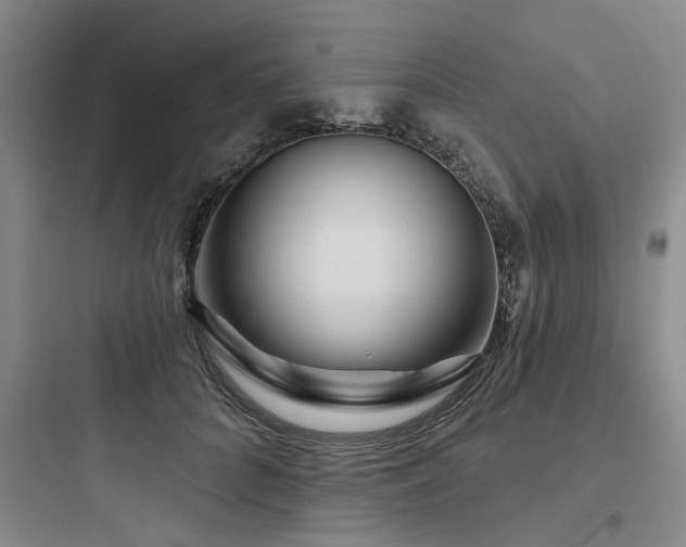 X0000097970704200803241236