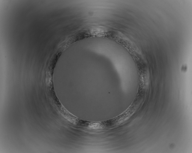 X0000097970705200803241236