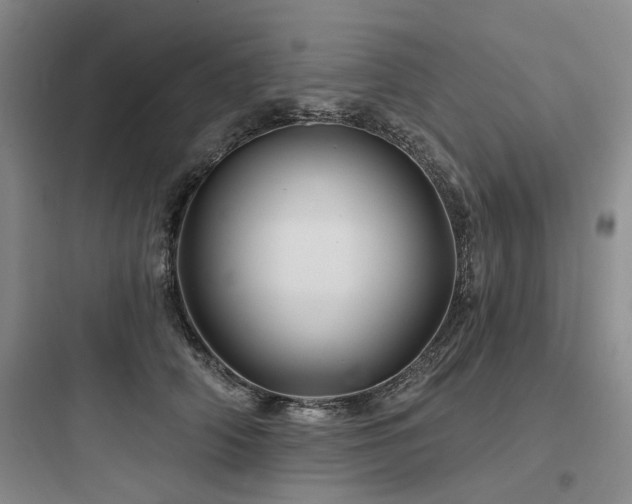 X0000097970706200803241236