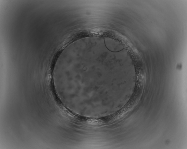 X0000097970707200803241236