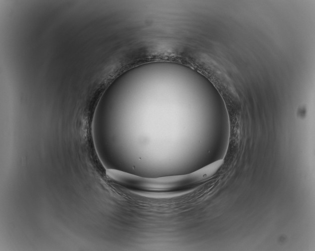 X0000097970708200803241236