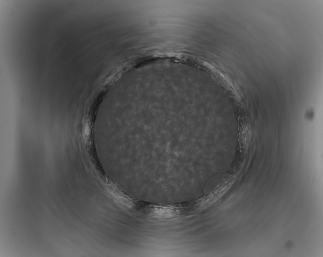 X0000097970709200803241236