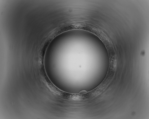 X0000097970710200803241236