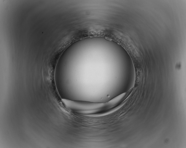 X0000097970712200803241235