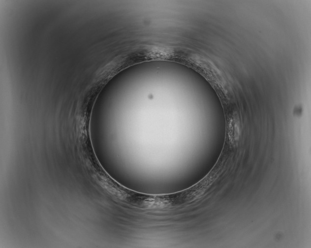 X0000097970714200803241235