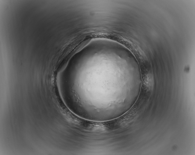 X0000097970715200803241235