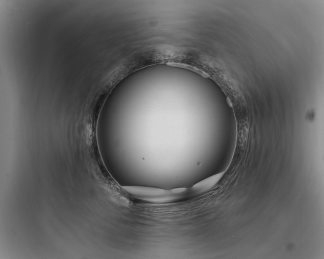 X0000097970716200803241235