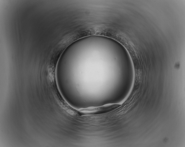 X0000097970719200803241235