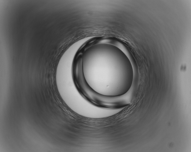 X0000097970720200803241235