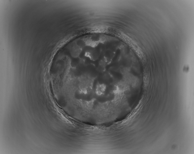 X0000097970721200803241235