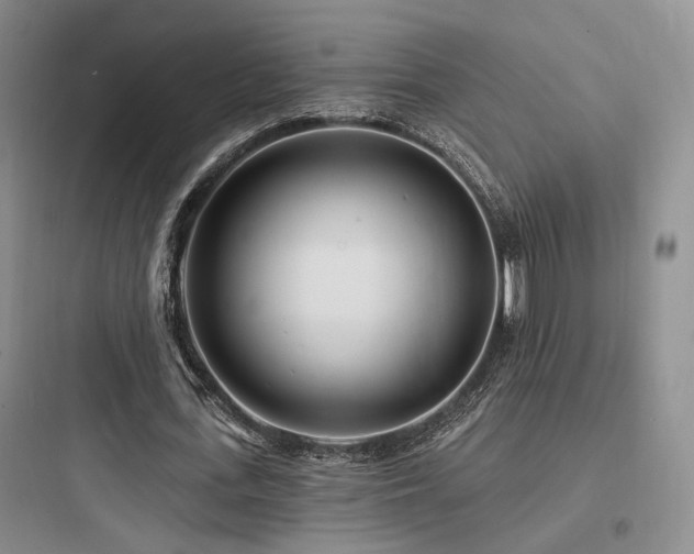 X0000097970723200803241235