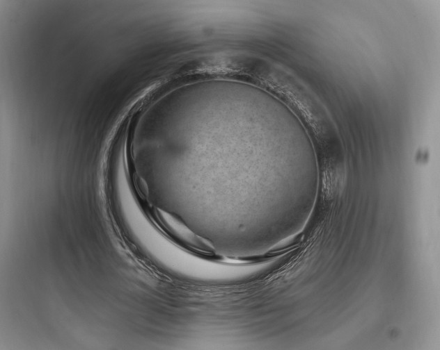 X0000097970724200803241235