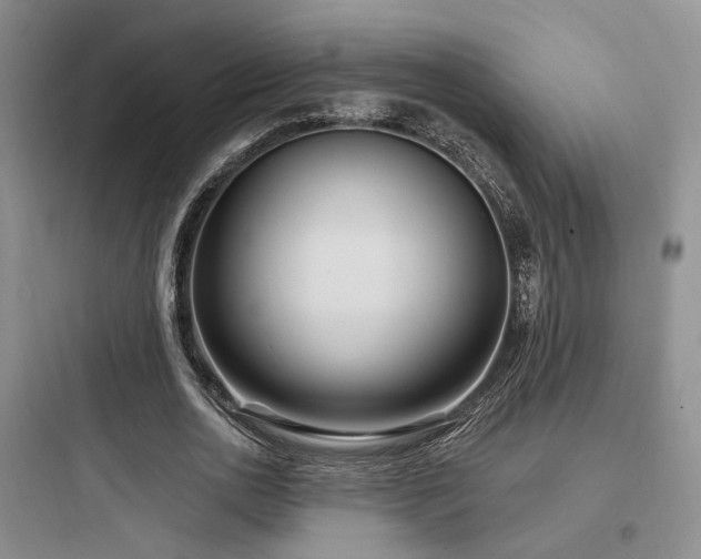 X0000097970726200803241235