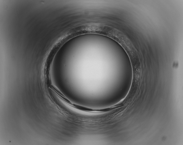 X0000097970727200803241235