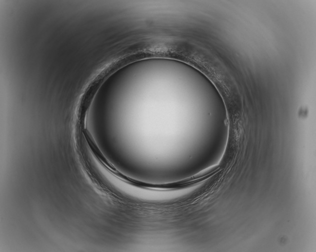 X0000097970728200803241235