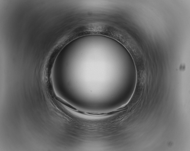 X0000097970731200803241235