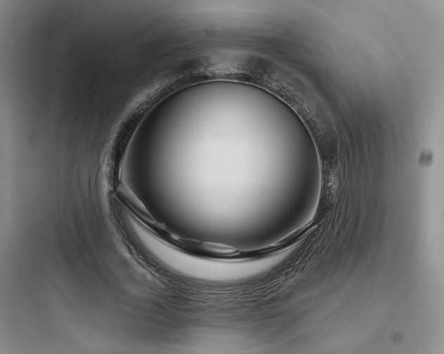X0000097970732200803241235