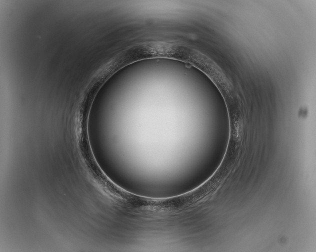 X0000097970733200803241235