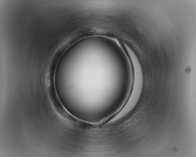 X0000097970734200803241235