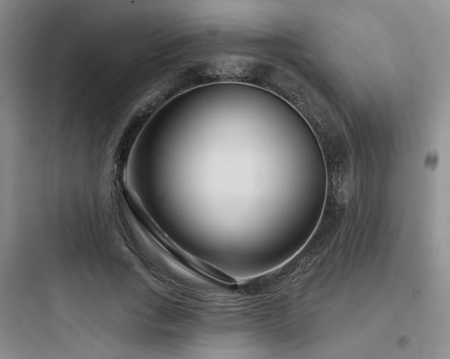 X0000097970735200803241235
