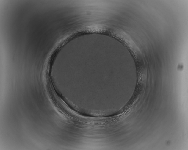 X0000097970736200803241235