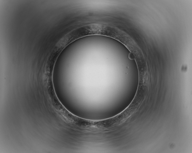 X0000097970737200803241235