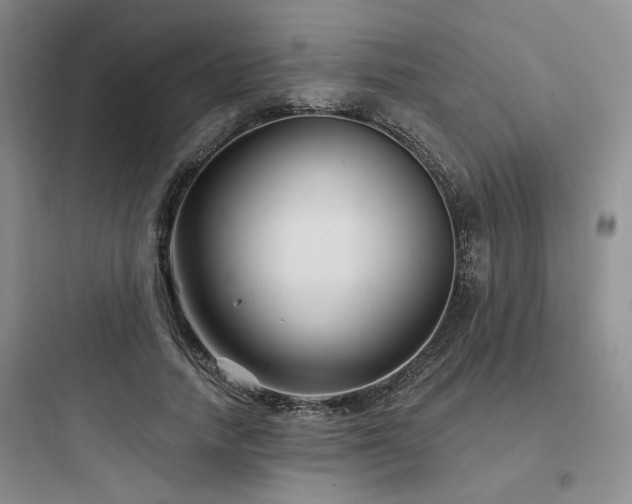 X0000097970738200803241235