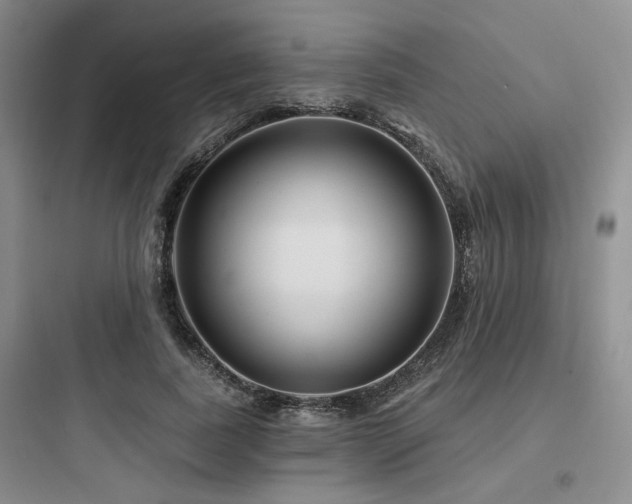 X0000097970739200803241235